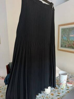 Max Edition Black Pleated A-Line Skirt
